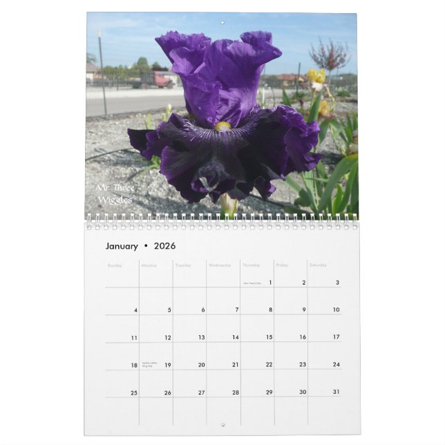 IRIS GARDEN 2012 CALENDAR (Jan 2026)