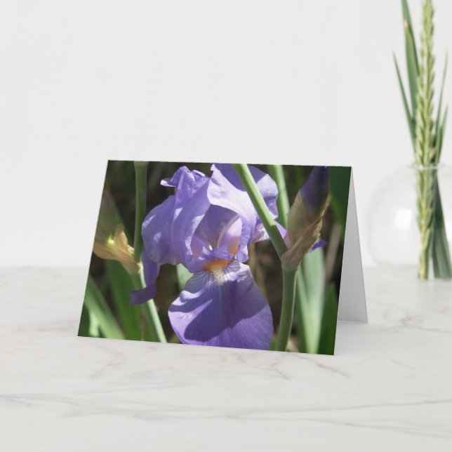 Iris Garden Greeting Card (Front)
