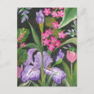 Iris Garden Post Card