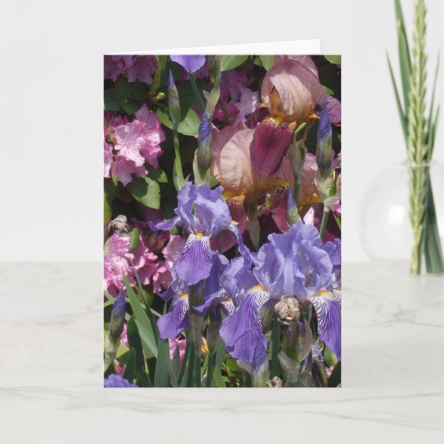 Iris Garden Purple Blue Pink Card (Front)