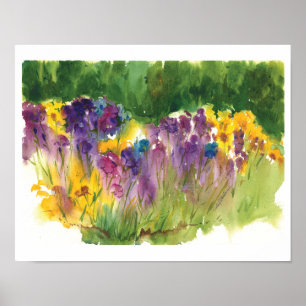 Iris Garden Watercolor Print - 11 x14