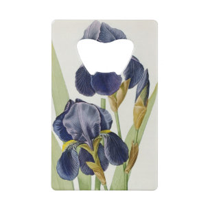 Iris Germanica, from `Les Liliacees', 1805