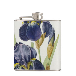 Iris Germanica, from `Les Liliacees', 1805 Hip Flask