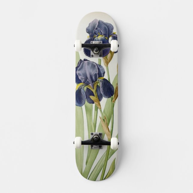 Iris Germanica, from `Les Liliacees', 1805 Skateboard (Front)