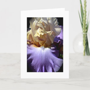 Iris Greeting Card