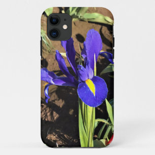 Iris in a Tulip Field, Woodburn, Oregon Case-Mate iPhone Case