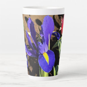Iris in a Tulip Field, Woodburn, Oregon Latte Mug