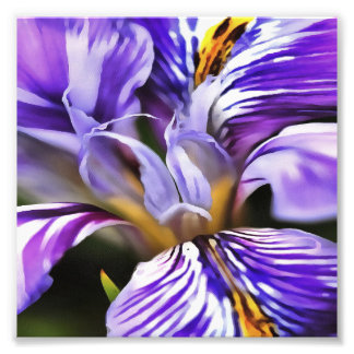 Iris In Violet Lilac and Purple Botanical Art Photo Print