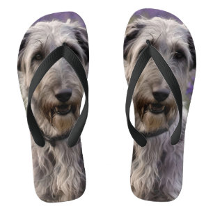 Iris Irish Wolfhound, Jandals