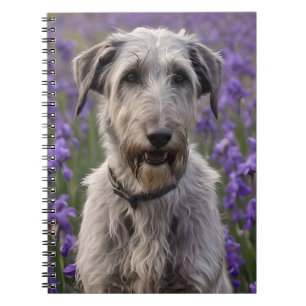 Iris Irish Wolfhound, Notebook