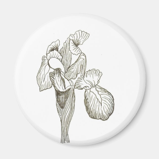 Iris Magnet (Front)