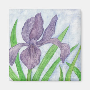 Iris Magnet