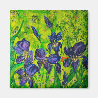 Iris Magnet