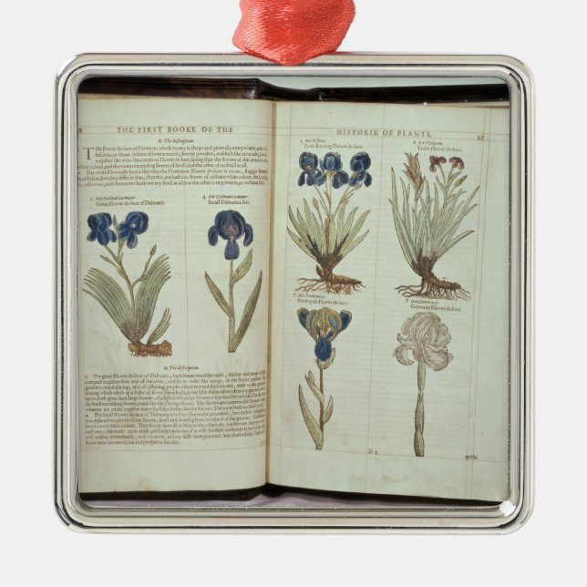 Iris Metal Tree Decoration (Front)