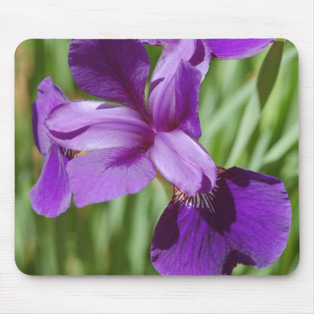 Iris Mousepad (Front)