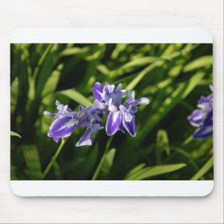 Iris Mousepad