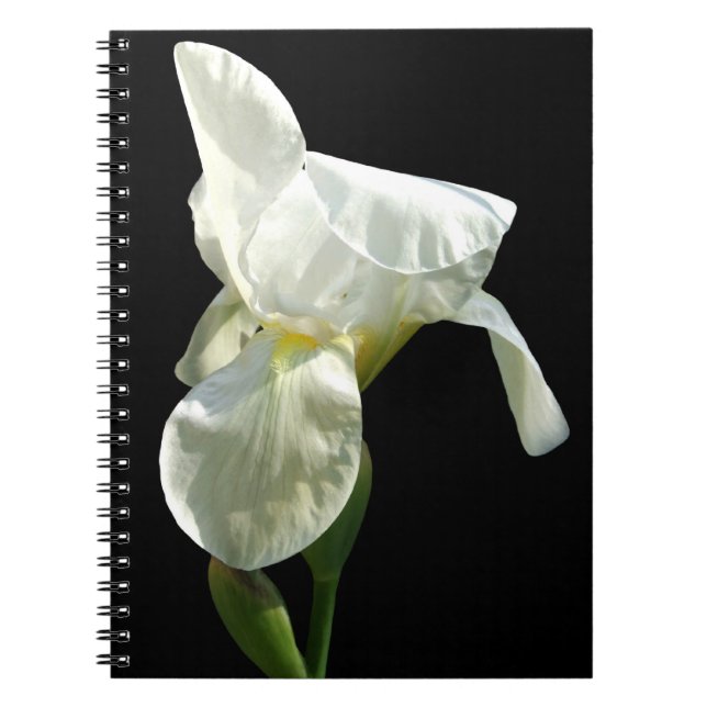 Iris Notebook (Front)