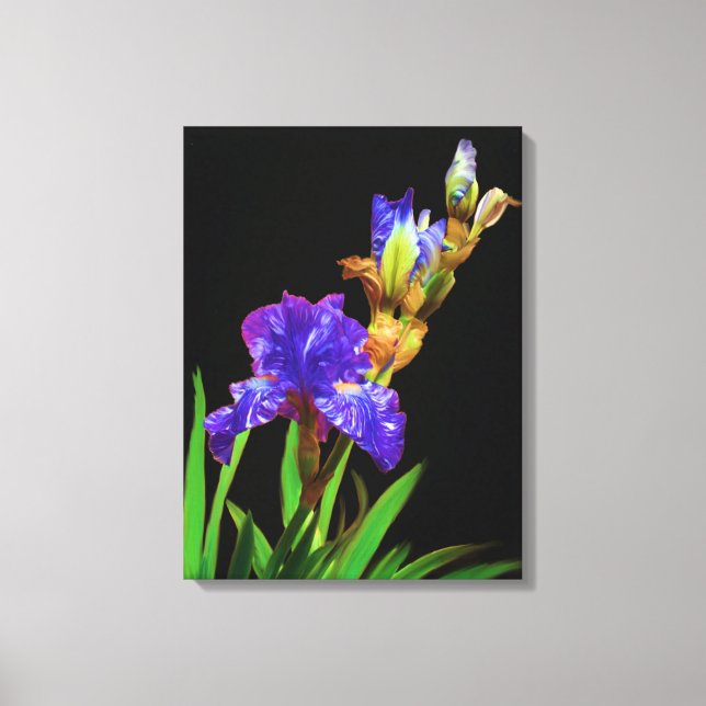 Iris on blacksmooth canvas print (Front)