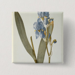Iris Pallida, from `Les Liliacees', 1812 15 Cm Square Badge