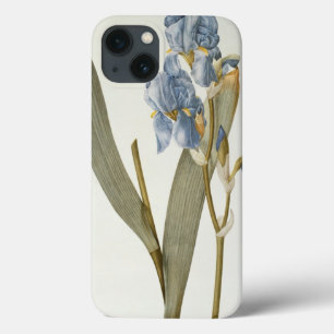 Iris Pallida, from `Les Liliacees', 1812 iPhone 13 Case
