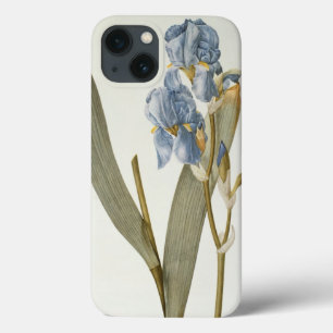 Iris Pallida, from `Les Liliacees', 1812 iPhone 13 Case