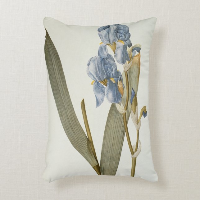 Iris Pallida, from `Les Liliacees', 1812 Decorative Cushion (Front(Vertical))