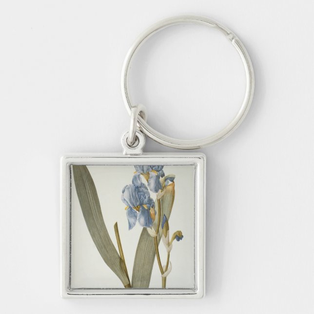 Iris Pallida, from `Les Liliacees', 1812 Key Ring (Front)