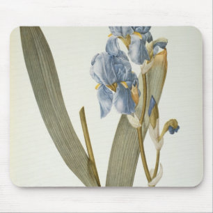 Iris Pallida, from `Les Liliacees', 1812 Mouse Pad
