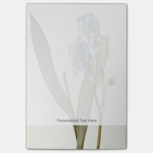 Iris Pallida, from `Les Liliacees', 1812 Post-it Notes