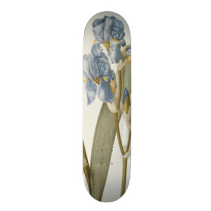 Iris Pallida, from `Les Liliacees', 1812 Skateboard