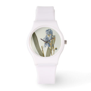 Iris Pallida, from `Les Liliacees', 1812 Watch