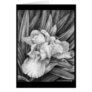 Iris Pen and Ink Drawing Card