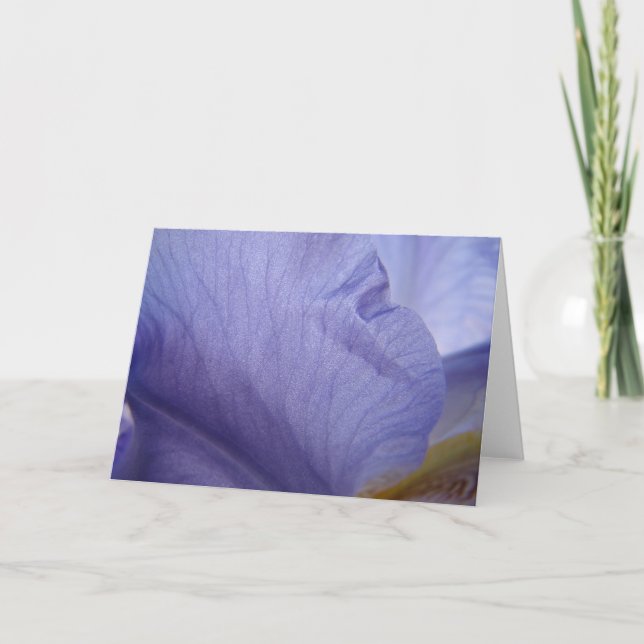 Iris Petal Card (Front)