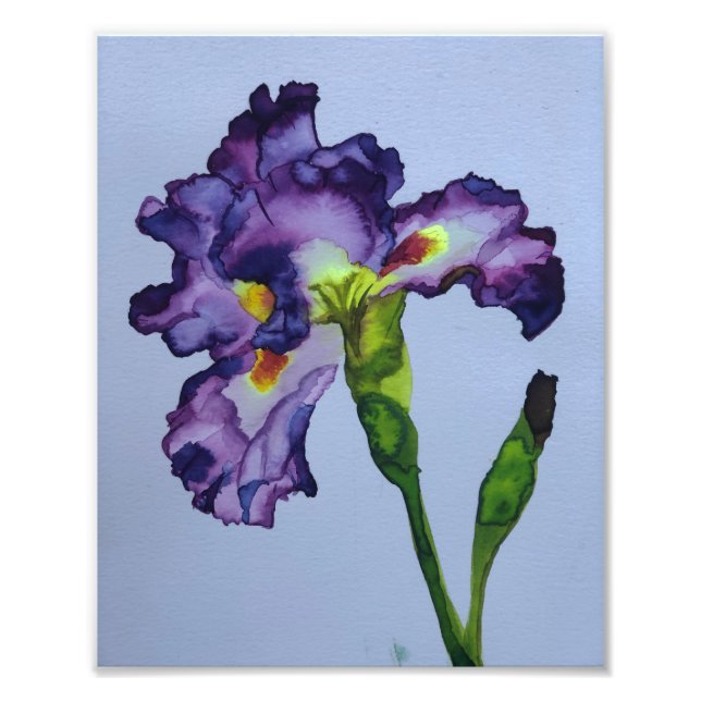 Iris Photo Print (Front)