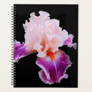 Iris Planner