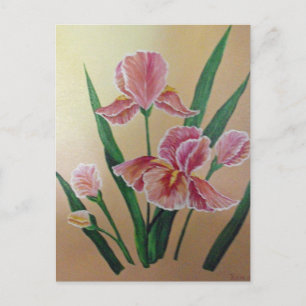 Iris Postcard