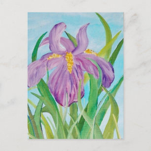 Iris Postcard
