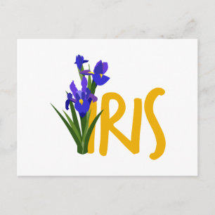 Iris Postcard