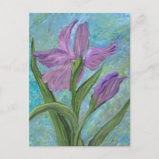 Iris Postcard