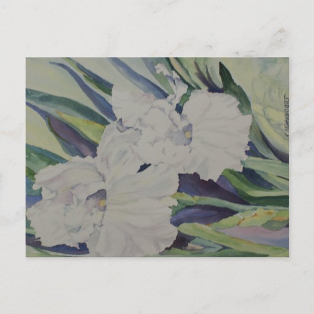 Iris Postcard (Front)