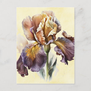 Iris Postcard