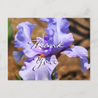 Iris Postcard- customise for any occasion