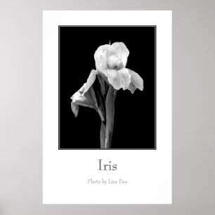 'Iris' Poster