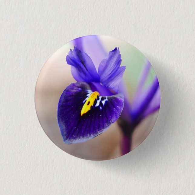 Iris Reticulata Flower Badge (Front)