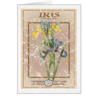 Iris seed packet - distressed