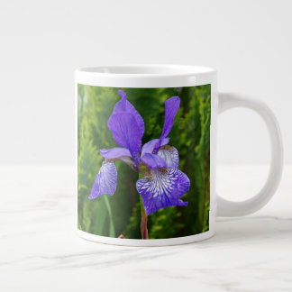 Iris sibirica floral photography large coffee mug