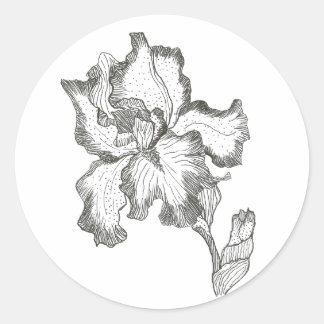 Iris sticker