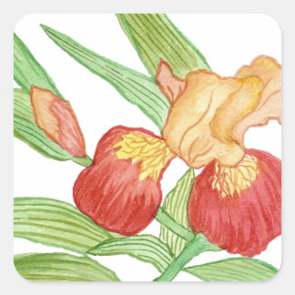 Iris Sticker