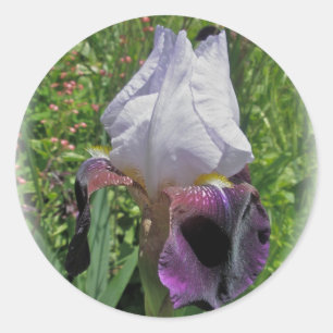 iris Stickers
