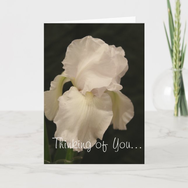 Iris Thinking of You blank card (Front)